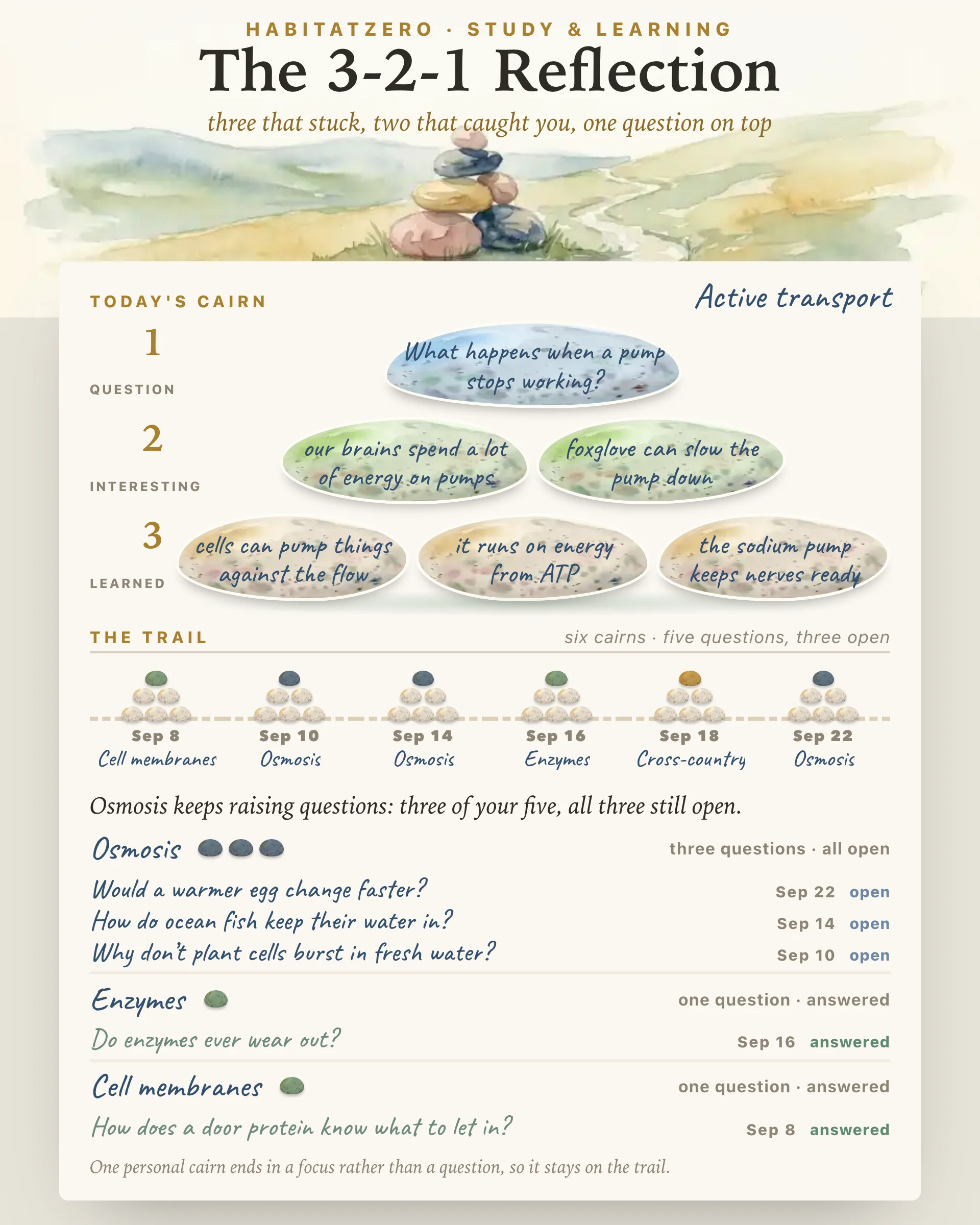 The 3-2-1 Reflection — Study & Learning interactive worksheet preview