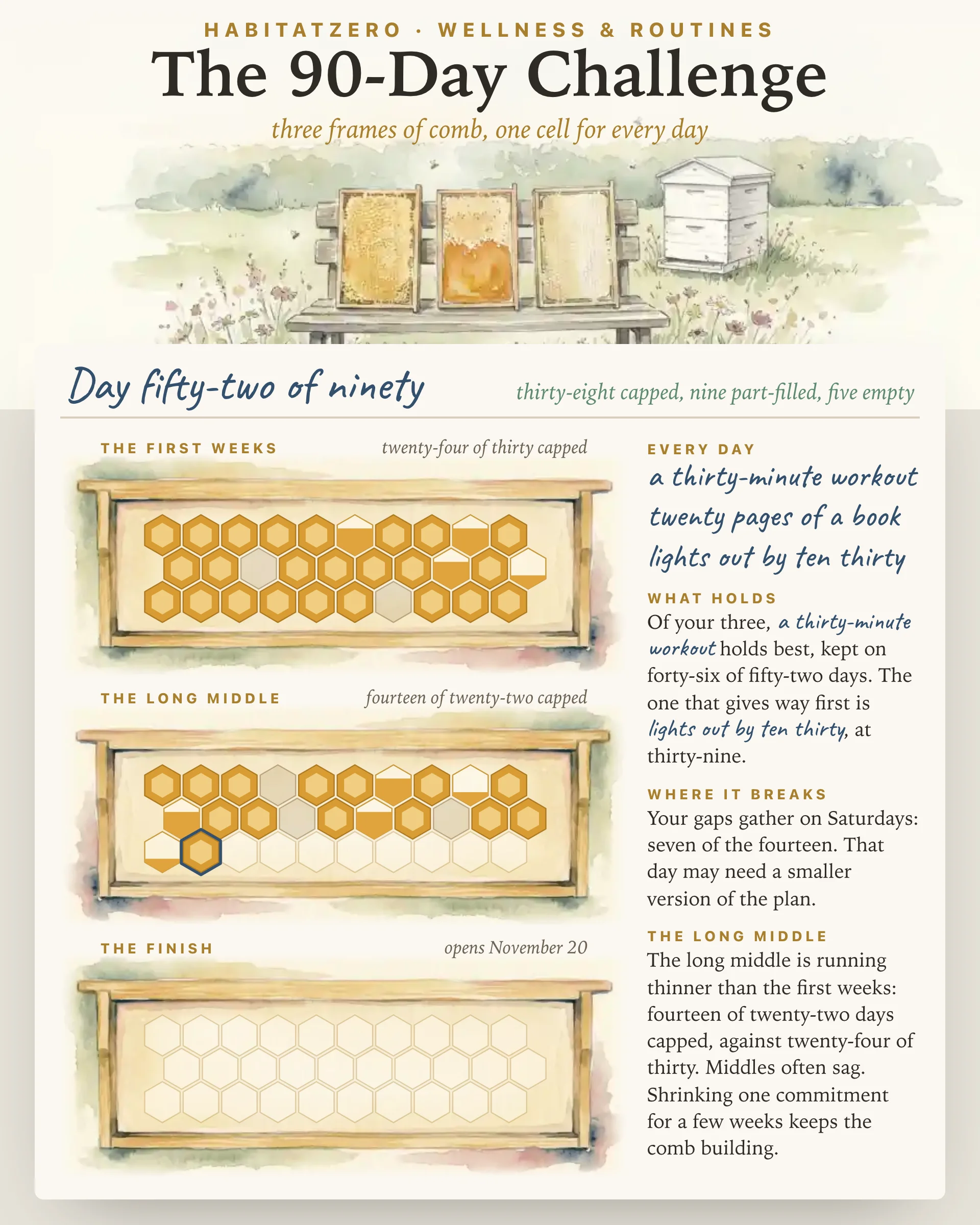 The 90-Day Challenge — Wellness & Routines interactive worksheet preview