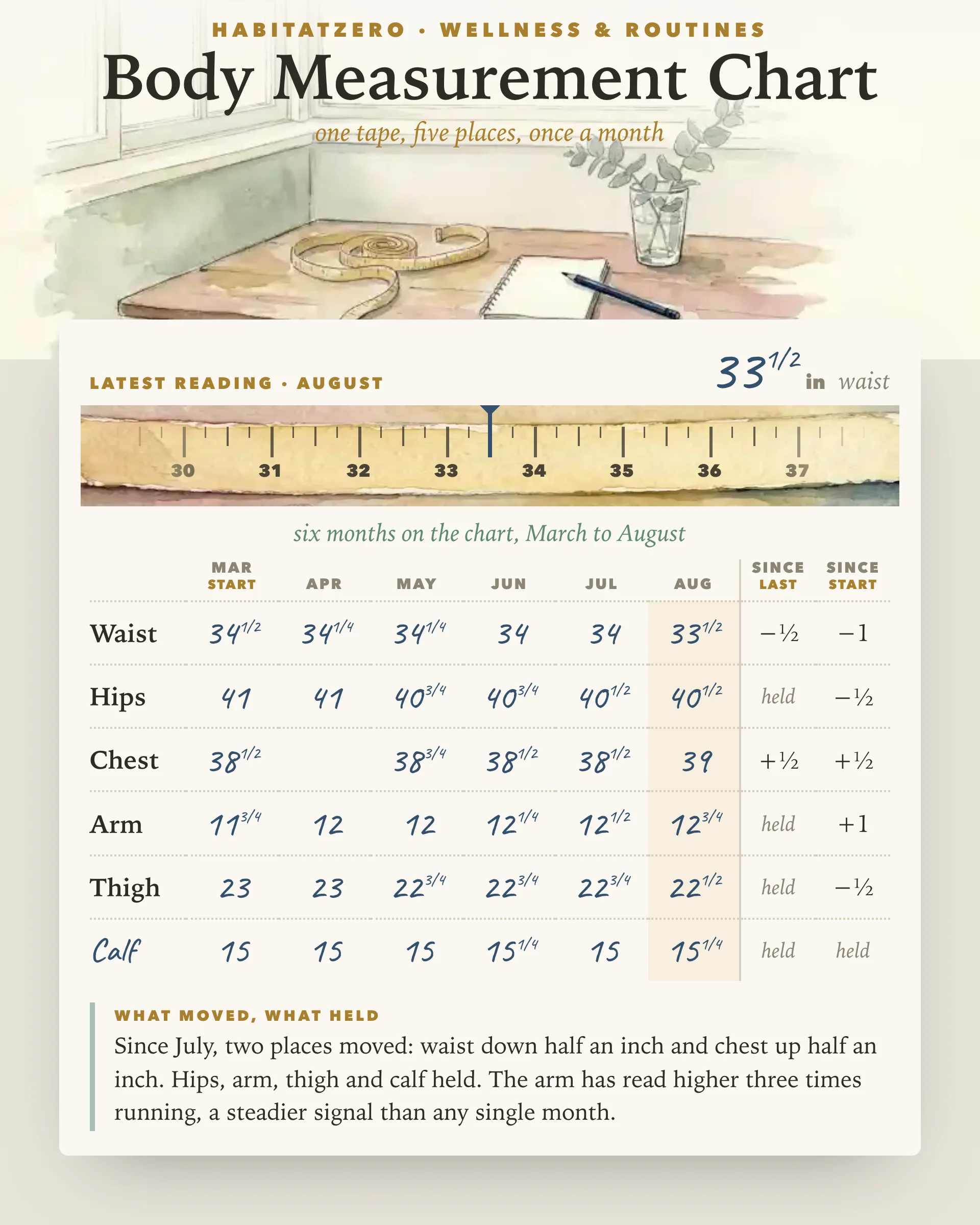 Body Measurement Chart — Wellness & Routines interactive worksheet preview
