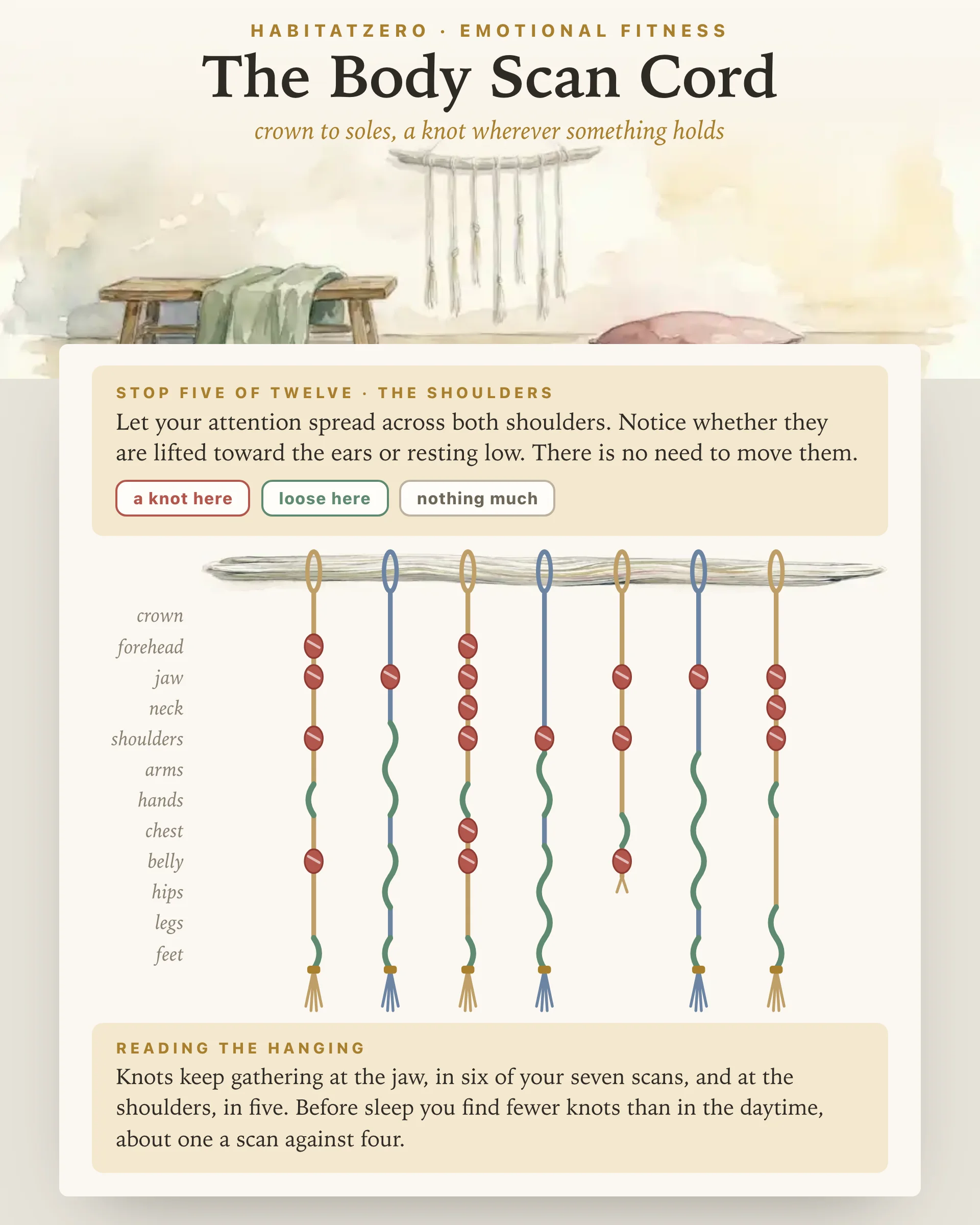 The Body Scan Cord — Emotional Fitness interactive worksheet preview