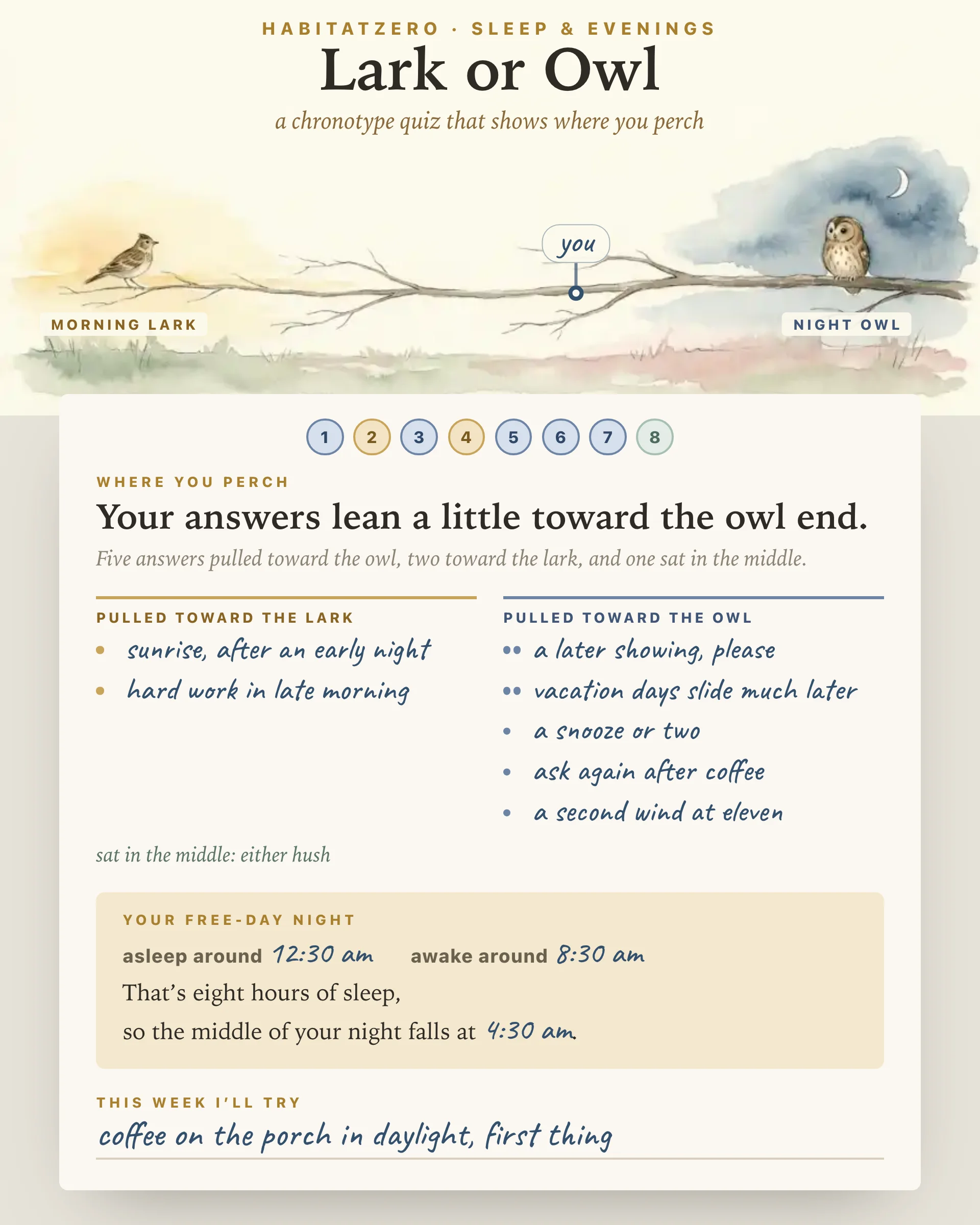 Lark or Owl — Sleep & Evenings interactive worksheet preview
