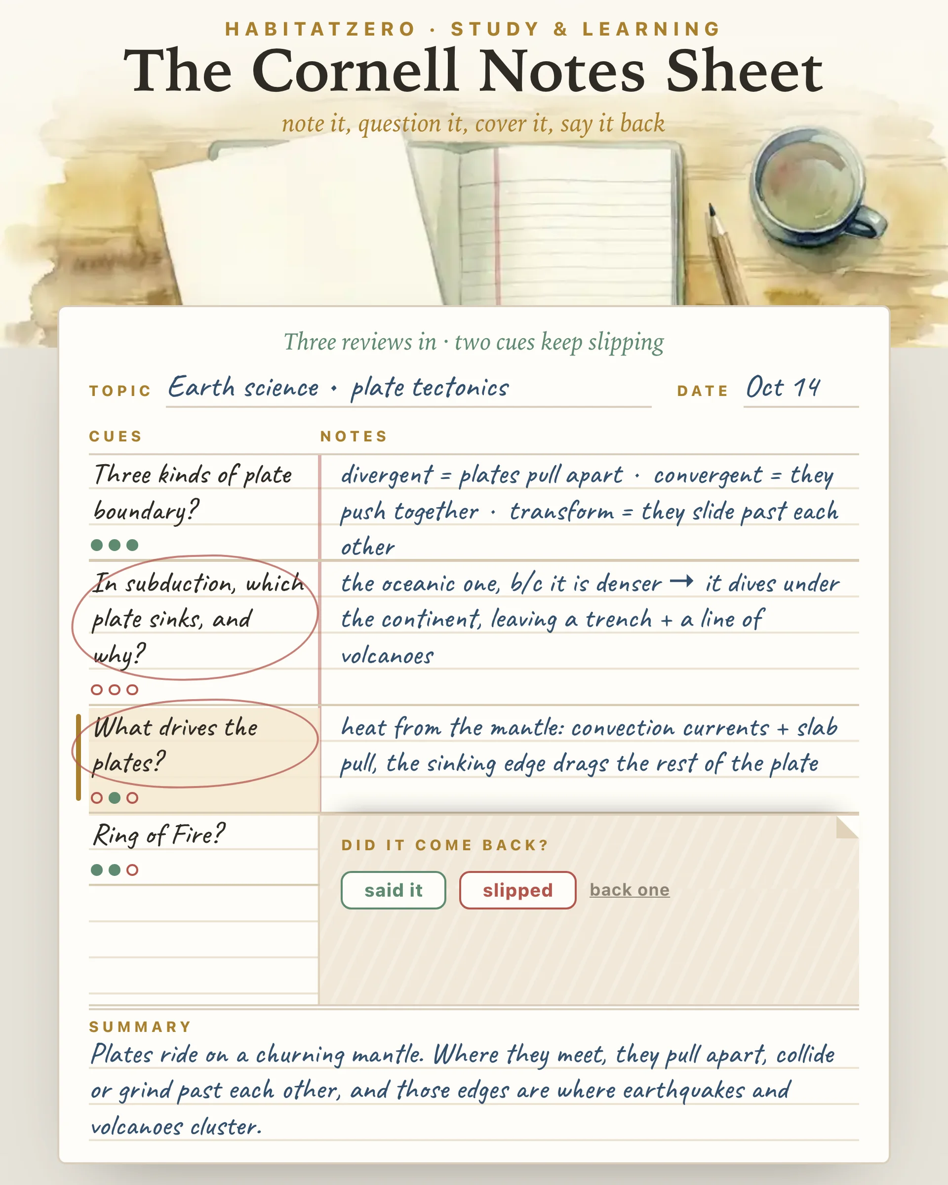 The Cornell Notes Sheet — Study & Learning interactive worksheet preview