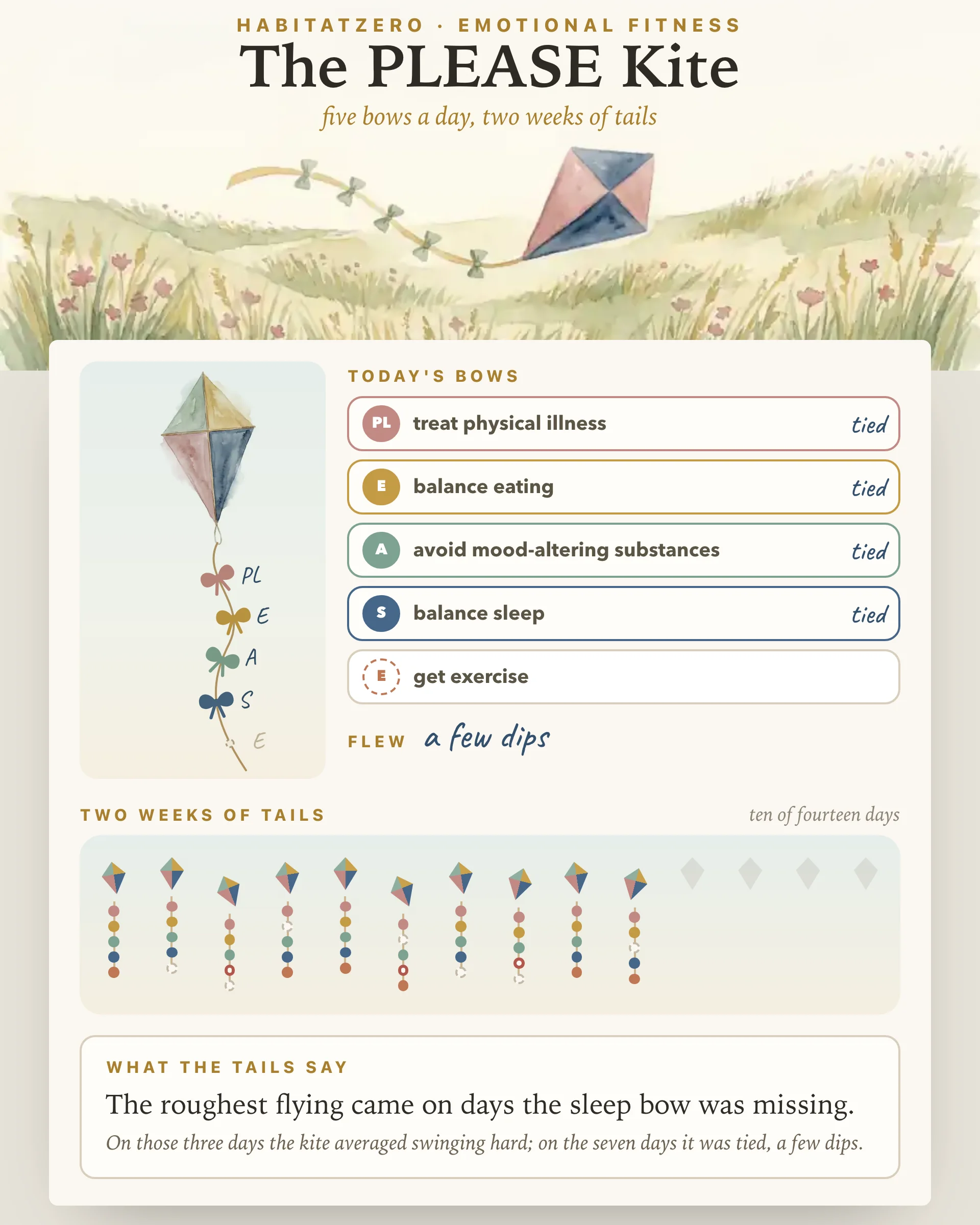 The PLEASE Kite — Emotional Fitness interactive worksheet preview