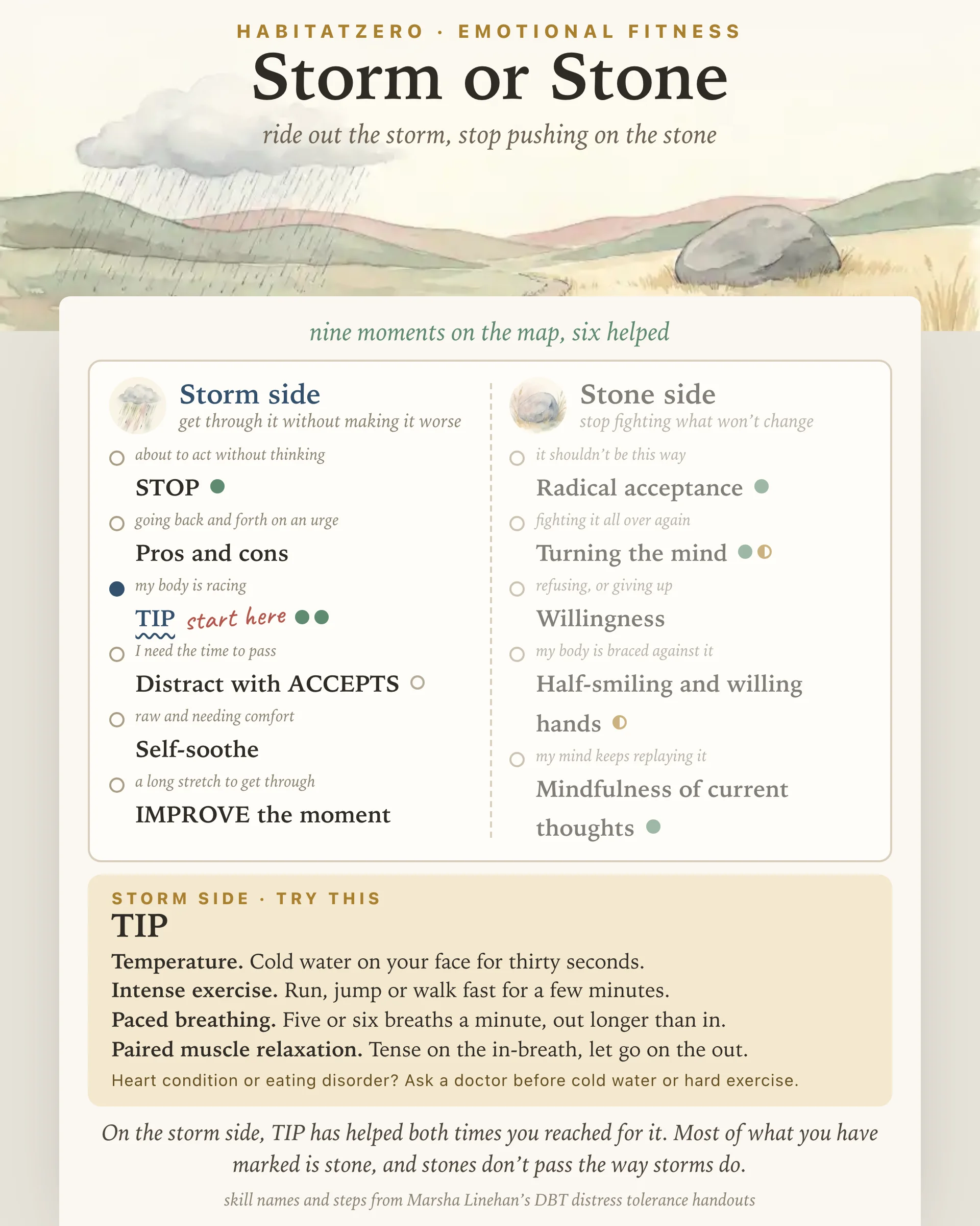 Storm or Stone — Emotional Fitness interactive worksheet preview