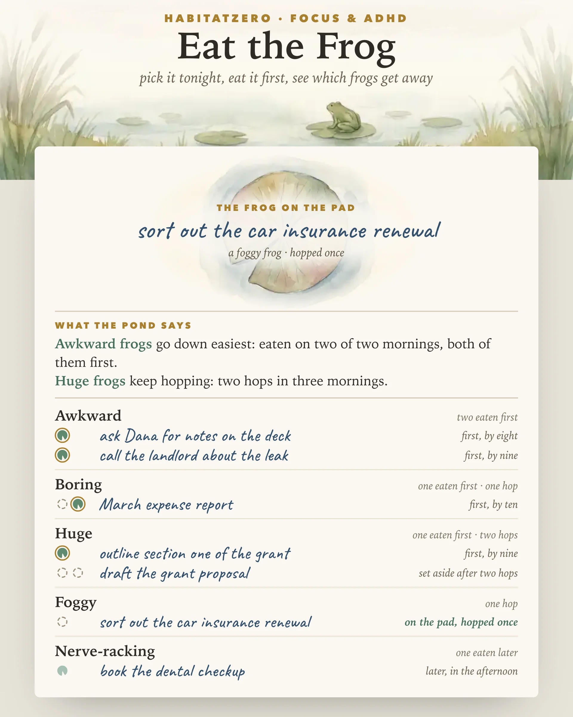 Eat the Frog — Focus & ADHD interactive worksheet preview