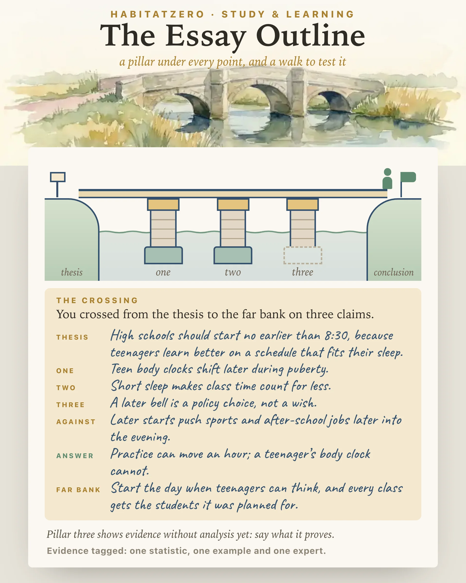 The Essay Outline — Study & Learning interactive worksheet preview