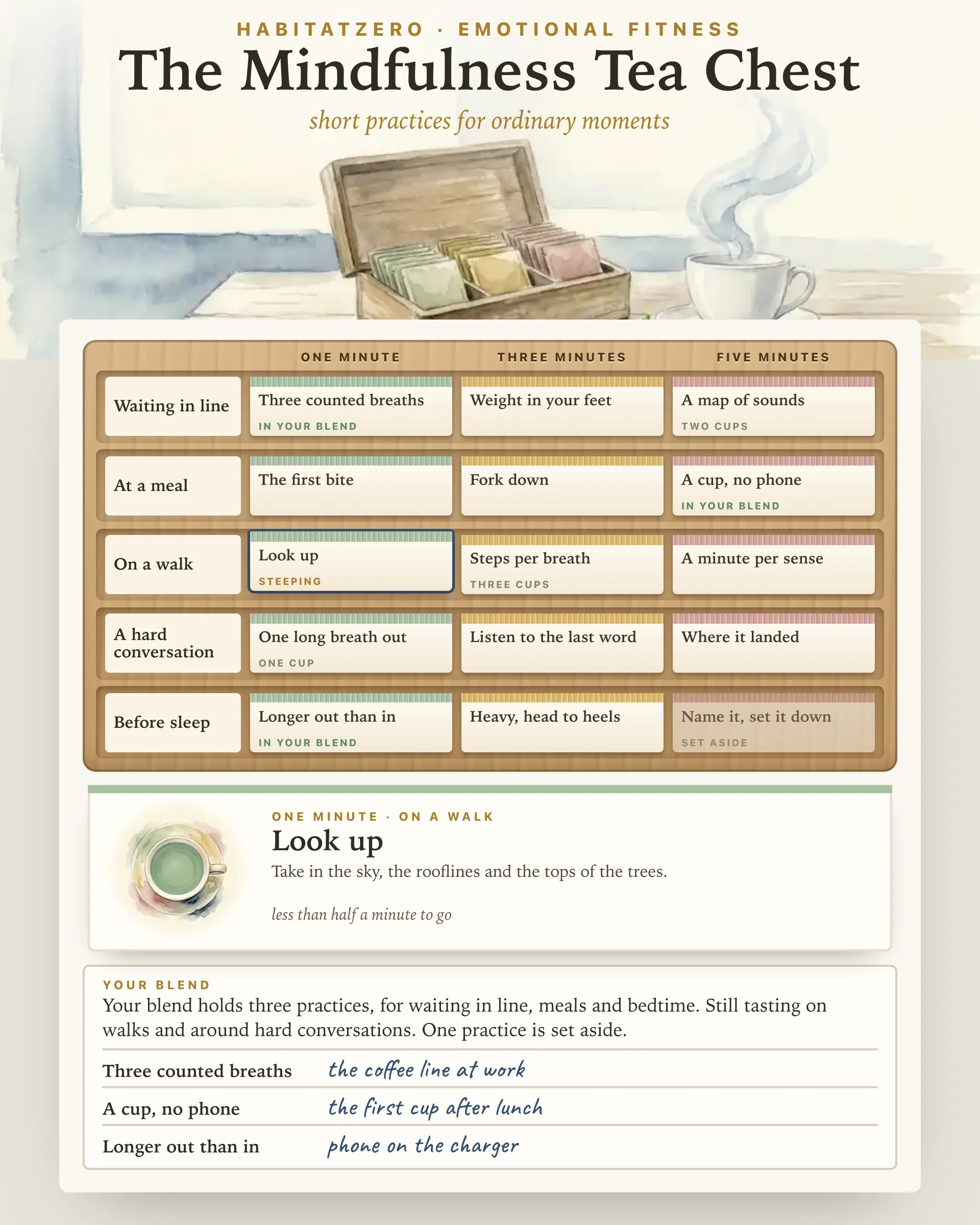 The Mindfulness Tea Chest — Emotional Fitness interactive worksheet preview