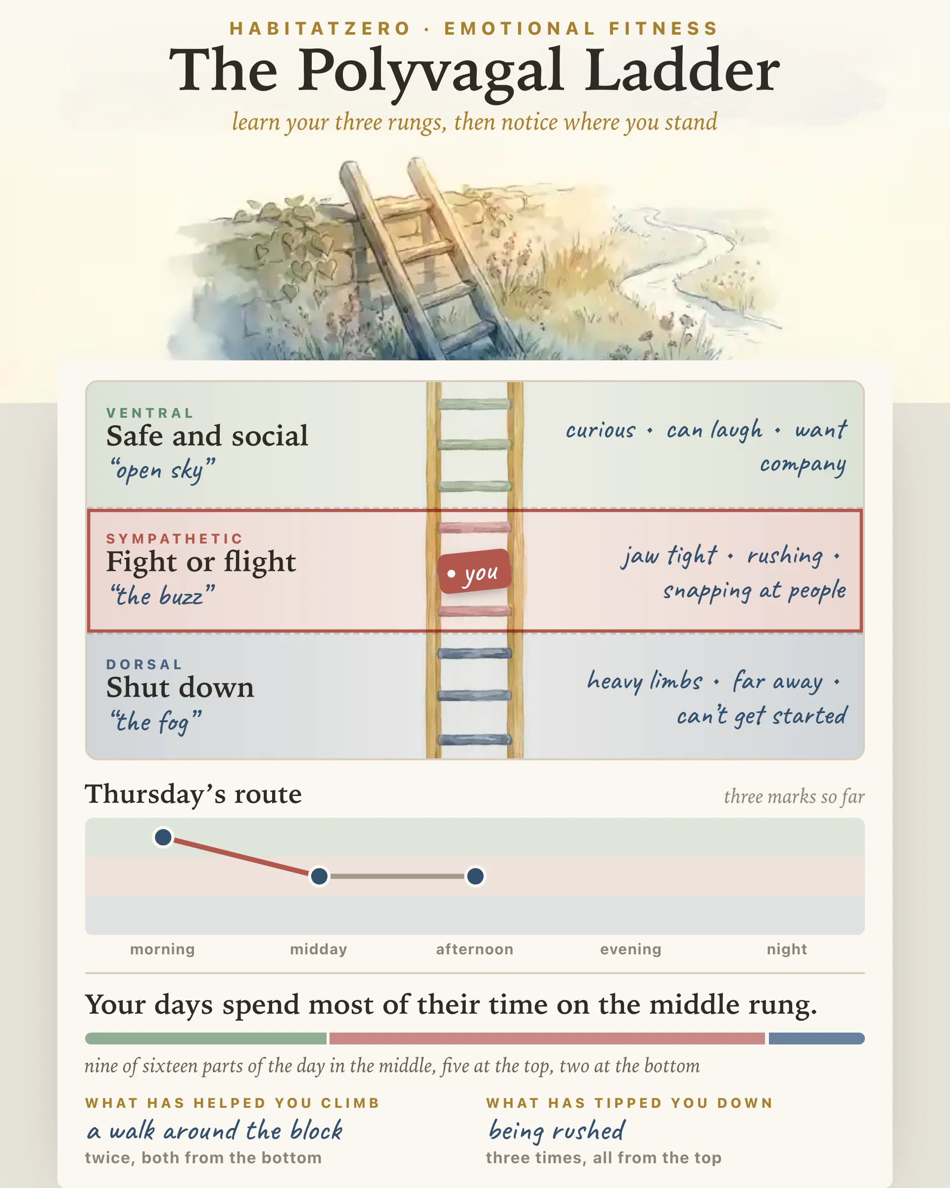 The Polyvagal Ladder — Emotional Fitness interactive worksheet preview