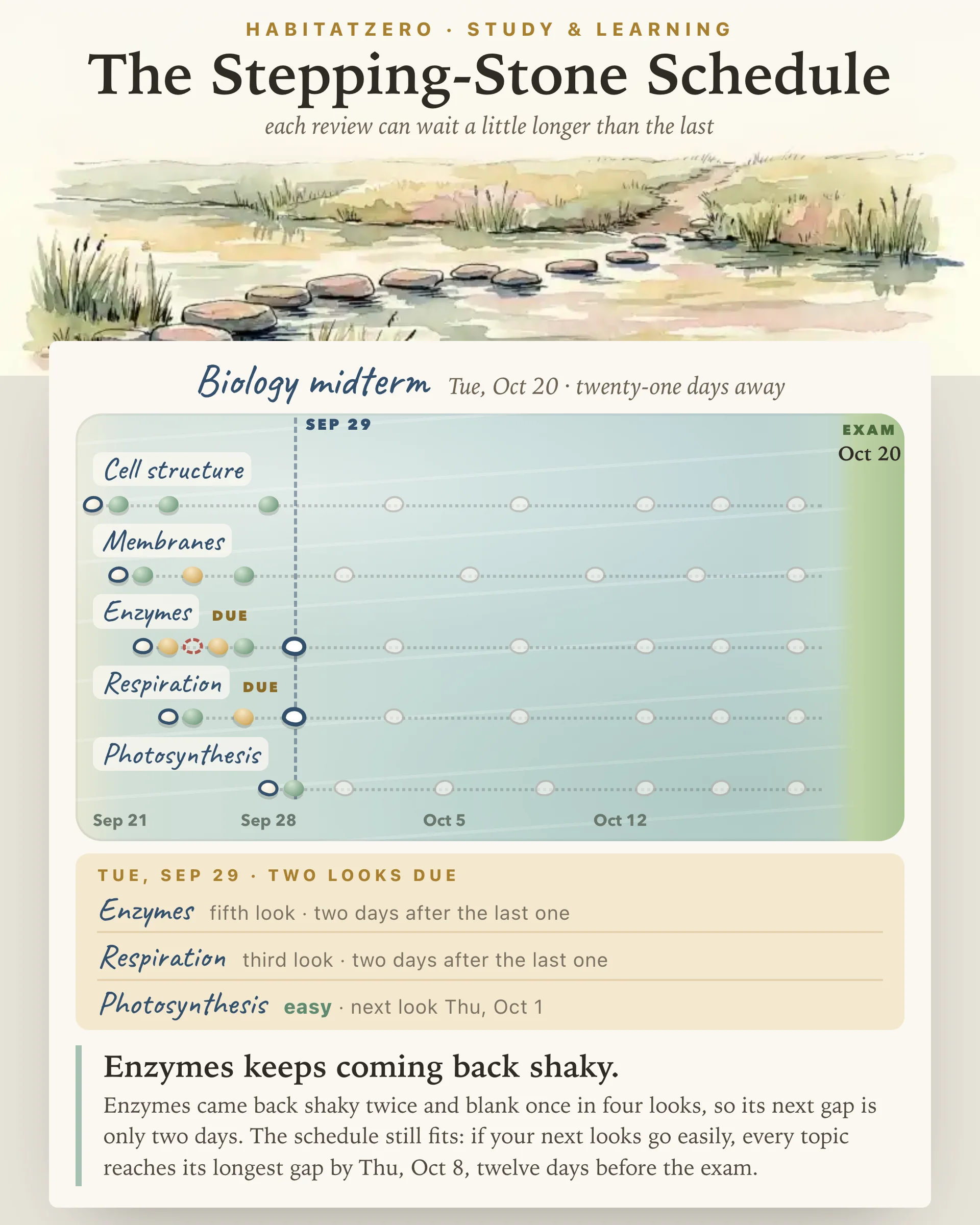 The Stepping-Stone Schedule — Study & Learning interactive worksheet preview