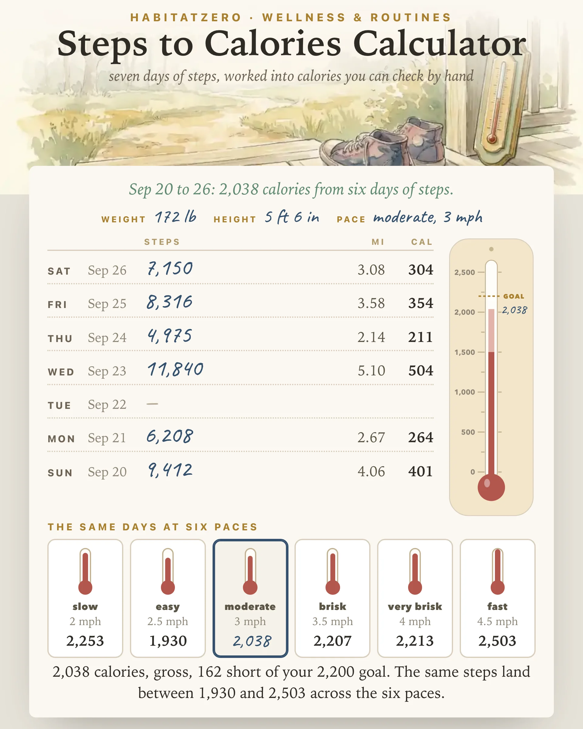 Steps to Calories Calculator — Wellness & Routines interactive worksheet preview