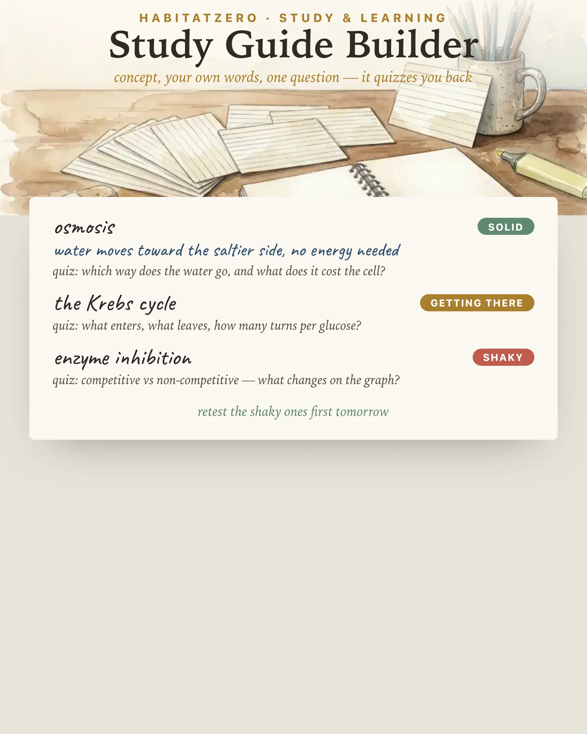 Study Guide Builder — Study & Learning interactive worksheet preview