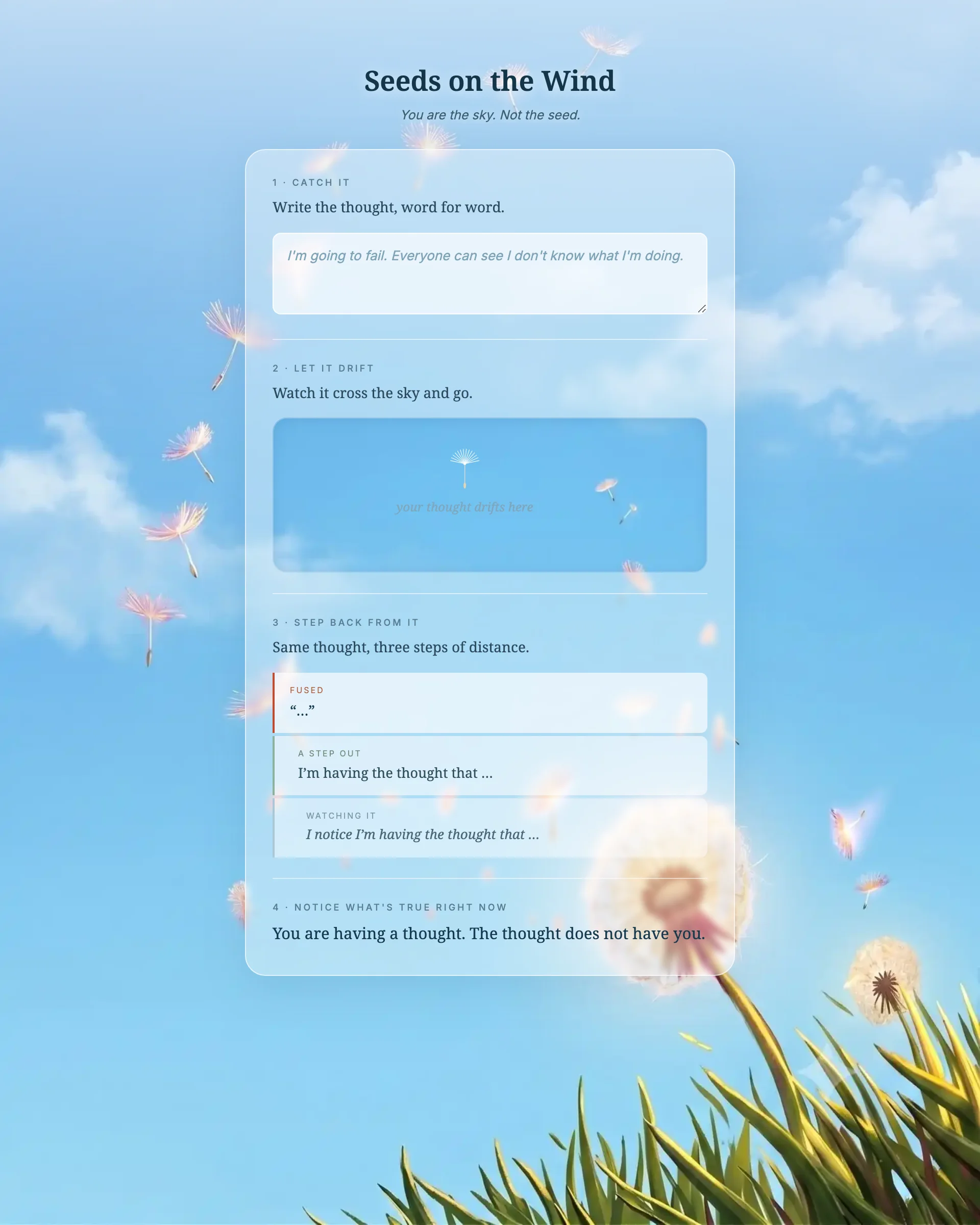 Seeds on the Wind — Emotional Fitness interactive worksheet preview