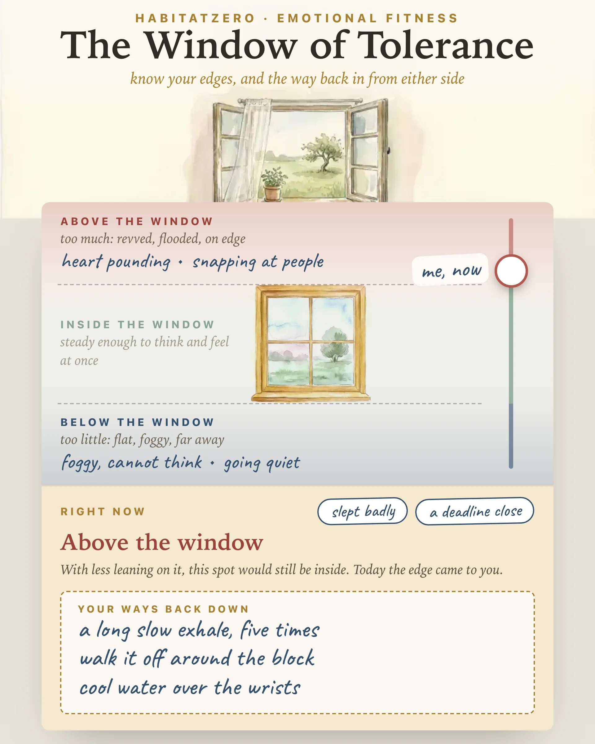 The Window of Tolerance — Emotional Fitness interactive worksheet preview